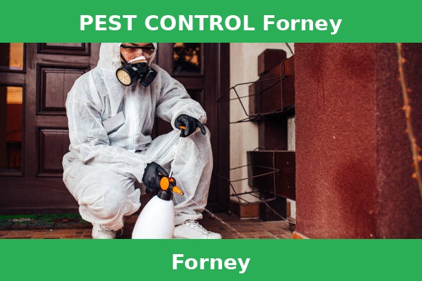 PEST CONTROL Forney
